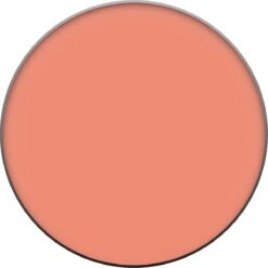 L’Oréal Paris True Match - 160 Pêche - Blush -Mode-Cosmetica Winkel 1199x1200 3