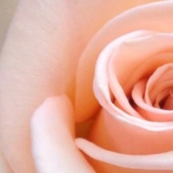 Spider-Man Geschenkset - Eau De Toilette 100 Ml & Douchegel 60 Ml - Met Toilettas -Mode-Cosmetica Winkel 1200x1200 1423