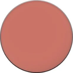 L'Oréal Paris True Match Blush - 145 Bois De Rose -Mode-Cosmetica Winkel 1200x1200 253