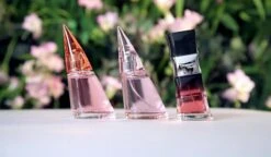 Bruno Banani Absolute Woman Eau De Toilette 40 Ml -Mode-Cosmetica Winkel 1200x699