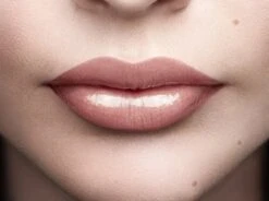 L'Oréal Paris Color Riche Shine Lippenstift - 658 Topless -Mode-Cosmetica Winkel 1200x895 1