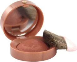 Bourjois Little Round Pot Blush - 10 Brown