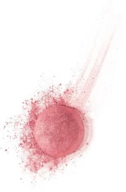 Bourjois Little Rount Pot Blush 095 Rose De Jaspe -Mode-Cosmetica Winkel 789x1200