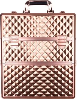 Koffer Groot 3D Gold Met Opbergvakken -Mode-Cosmetica Winkel 931x1200 1